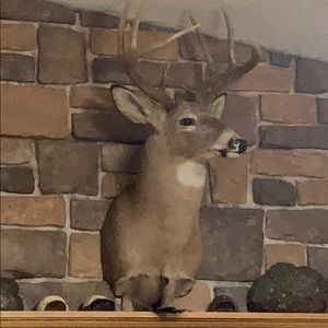 Meet your Posher, Donnie